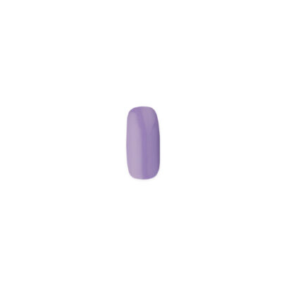 PANTONE-Aster Purple